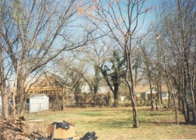 1805 Adams 1995
