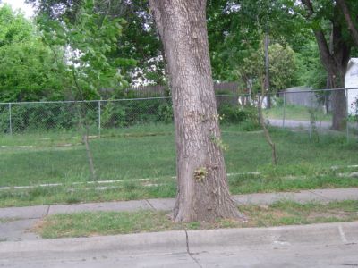 1925 Washington 2005
