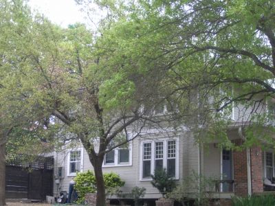 2101 Alston side 2010
