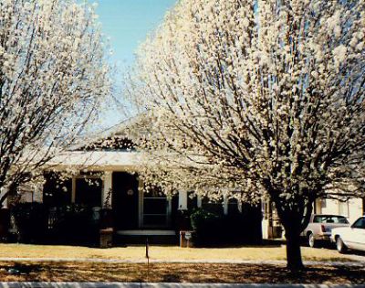 2222 Fairmount 1995
