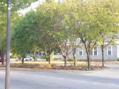 Allen Greenspace south 2011
