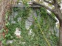 1224_Arlington_garage_2008.JPG