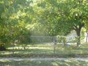 Filename=1420_Lipscomb_2008x.JPG
Filesize=166KiB
Dimensions=640x480
Date added=Jun 07, 2012 1420_Lipscomb_2008x.JPG