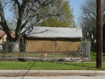1462 Jessamine garage 2008
Formerly 2261 Hurley garage
Garage was demollished 2012
