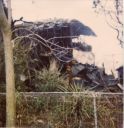 1714_Lipscomb_1996demo.jpg